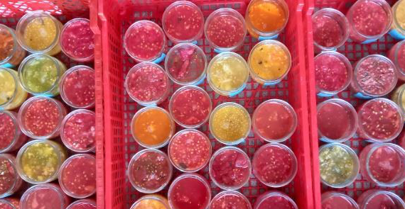 Le grainage des tomates